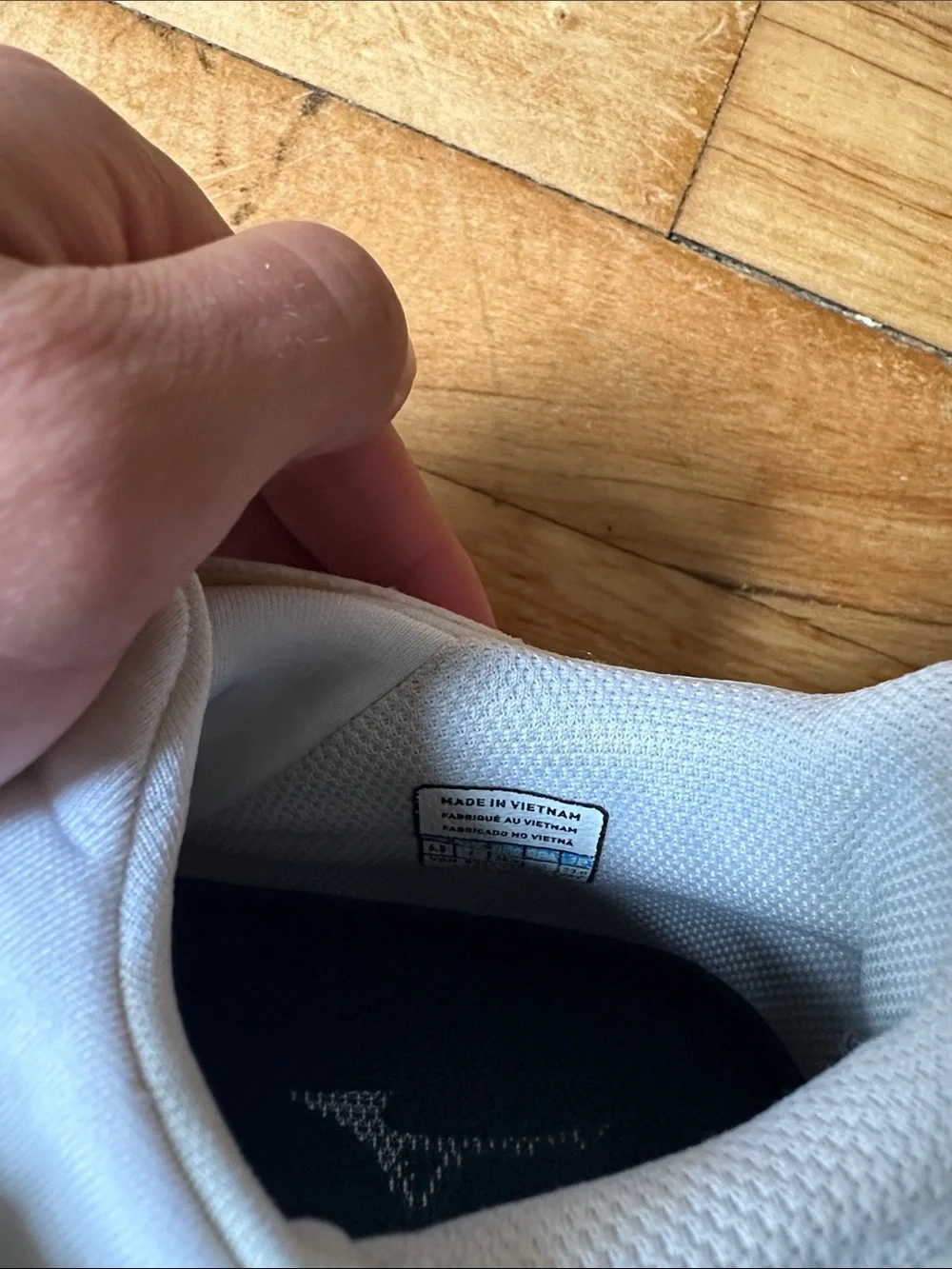 Mizuno court shoes